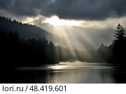Mystical Serenity: Enchanting Water Haven Amidst Verdant Woodlands and Overcast Skies. Стоковое AI-изображение, AI-художник Данила Большаков / Фотобанк Лори
