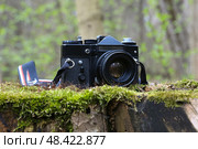 Классический черный пленочный зеркальный 35-мм фотоаппарат с объективом лежит на зеленом мху, покрывающем старый пень в весеннем лесу. Стоковое фото, фотограф Евгений Ковальский / Фотобанк Лори