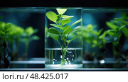 experiment laboratory green ai generated. Стоковое AI-изображение, AI-художник Vectorwin / Фотобанк Лори