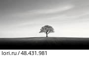 nature minimal tree ai generated. Стоковое AI-изображение, AI-художник Vectorwin / Фотобанк Лори
