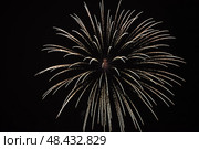 Праздничный салют. Салют в небе. Festive fireworks. Fireworks in the sky. Стоковое фото, фотограф Ольга Митряева / Фотобанк Лори