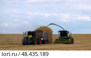 Harvesting grass in the field for fodder for cattle. The hay harvester dumps the chopped green mass into the truck. Стоковое фото, фотограф Роман Дзюбало / Фотобанк Лори