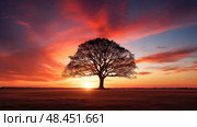 sunsilhouette tree single ai generated. Стоковое AI-изображение, AI-художник Vectorwin / Фотобанк Лори