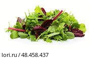 romaine salad greens ai generated. Стоковое AI-изображение, AI-художник Vectorwin / Фотобанк Лори