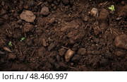 seeds dirt texture ai generated. Стоковое AI-изображение, AI-художник Vectorwin / Фотобанк Лори