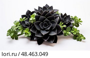 loss black funeral ai generated. Стоковое AI-изображение, AI-художник Vectorwin / Фотобанк Лори