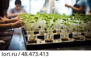 experiment plant test tube ai generated. Стоковое AI-изображение, AI-художник Vectorwin / Фотобанк Лори