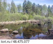 Пруд с утками весной. Новосибирск, Академгородок, Россия. Duck pond in spring. Novosibirsk, Akademgorodok, Russia. 春天的鸭塘。 新西伯利亚，Akademgorodok，俄罗斯。 Стоковое фото, фотограф Денис Баданин / Фотобанк Лори
