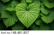 ovate leaf shapes ai generated. Стоковое AI-изображение, AI-художник Vectorwin / Фотобанк Лори