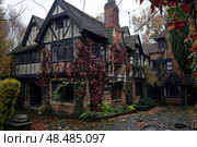 Beautiful tudor revival style house with climbing vines in autumn. Стоковое AI-изображение, AI-художник Иван Рябоконь / Фотобанк Лори