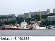 Морские суда в бухте Золотой Рог во Владивостоке (2022 год). Редакционное фото, фотограф Free Wind / Фотобанк Лори