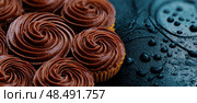 A close up of a tray of chocolate cupcakes with a blue background. Стоковое AI-изображение, AI-художник Ярославский Максим / Фотобанк Лори