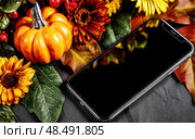A black iPhone is on a table with a bunch of fall flowers. Стоковое AI-изображение, AI-художник Ярославский Максим / Фотобанк Лори