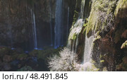 Rocky landscape with verdant moss, cascading waterfall streaming down lush terrain under bright sunlight, creating tranquil wilderness scenery. Стоковое видео, видеограф ILIA GOROKHOV / Фотобанк Лори