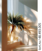 Sunlight Dapples Indoor Palm Tree Creating a Serene Atmosphere in a Bright Living Space. Стоковое AI-изображение, AI-художник Юлия Гапеенко / Фотобанк Лори