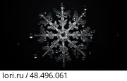 delicate snowflake on black ai generated. Стоковое AI-изображение, AI-художник Vectorwin / Фотобанк Лори