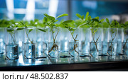 roots plant test tube ai generated. Стоковое AI-изображение, AI-художник Vectorwin / Фотобанк Лори