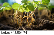 roots peanut plants ai generated. Стоковое AI-изображение, AI-художник Vectorwin / Фотобанк Лори