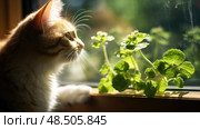pot catnip plant ai generated. Стоковое AI-изображение, AI-художник Vectorwin / Фотобанк Лори