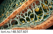 phloem cell wall ai generated. Стоковое AI-изображение, AI-художник Vectorwin / Фотобанк Лори