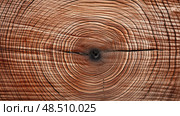 texture wood cross section ai generated. Стоковое AI-изображение, AI-художник Vectorwin / Фотобанк Лори