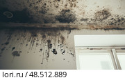 black mold in house ai generated. Стоковое AI-изображение, AI-художник Vectorwin / Фотобанк Лори