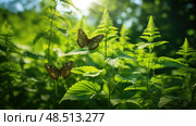 butterfly nettle plant ai generated. Стоковое AI-изображение, AI-художник Vectorwin / Фотобанк Лори