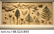 mesozoic plant fossil ai generated. Стоковое AI-изображение, AI-художник Vectorwin / Фотобанк Лори