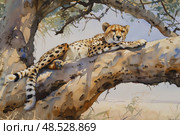 A cheetah resting comfortably on a sturdy tree branch. The majestic feline is relaxed and observant, blending seamlessly with its surroundings in the wild. Стоковое AI-изображение, AI-художник Данила Большаков / Фотобанк Лори