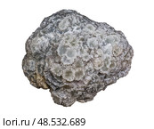 Aragonite is a carbonate mineral and one of the three most common naturally occurring crystal forms of calcium carbonate. Стоковое фото, фотограф Константин Григорьев / Фотобанк Лори