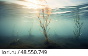 grass sea plants ai generated. Стоковое AI-изображение, AI-художник Vectorwin / Фотобанк Лори