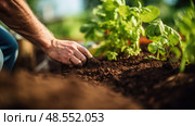 calcium plant nutrients ai generated. Стоковое AI-изображение, AI-художник Vectorwin / Фотобанк Лори