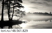 serene black to white ai generated. Стоковое AI-изображение, AI-художник Vectorwin / Фотобанк Лори