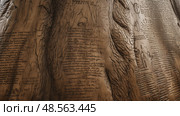 messages engraving tree ai generated. Стоковое AI-изображение, AI-художник Vectorwin / Фотобанк Лори