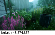 Lush garden filled with colorful flowers in heavy rain during a tranquil afternoon in a suburban neighborhood. Стоковое AI-изображение, AI-художник Сергей Толмачёв / Фотобанк Лори