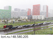 7 мая 2024 года в Москве шёл снег. Стоковое фото, фотограф Валерий Иванович Клейменов / Фотобанк Лори
