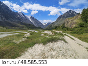 Долина реки Аккол , Кош-Агачский район, Республика Алтай. Стоковое фото, фотограф Римма Тельнова / Фотобанк Лори