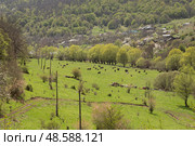 View of the mountains and meadows in Armenia. Tavush region. Стоковое фото, фотограф Evgenia Shevardina / Фотобанк Лори