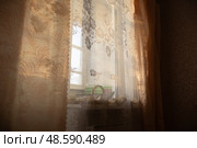 Окно в утреннем свете солнца. Стоковое фото, фотограф Андрюков Антон / Фотобанк Лори
