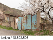 View of the mountains in Armenia at spring. Caves in Kotayk Region. Стоковое фото, фотограф Evgenia Shevardina / Фотобанк Лори