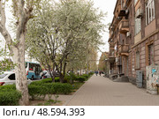 Проспект Тигран Мец (Тигран великий) весной. Ереван, Армения. Стоковое фото, фотограф Evgenia Shevardina / Фотобанк Лори