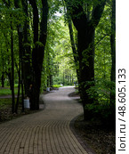 A brick walkway with trees on either side. Стоковое фото, фотограф Ярославский Максим / Фотобанк Лори