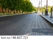 Metal paving stones. Cast-iron bridge on Penkovoy over the bypass canal, Kronstadt. Стоковое фото, фотограф Оксана Медведева / Фотобанк Лори