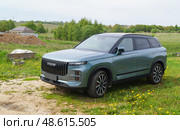 Автомобиль Jaecoo J7 стоит на зеленой трава. Редакционное фото, фотограф Сергей Овчинников / Фотобанк Лори
