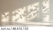 Beautiful shadows of leaves on a light wall create a serene atmosphere in a minimalist indoor space. Стоковое AI-изображение, AI-художник Сергей Толмачёв / Фотобанк Лори