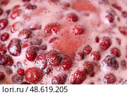 Red berries bubbling in a pot during the simmering process for a fresh homemade jam. Стоковое фото, фотограф Виктория Тельминова / Фотобанк Лори