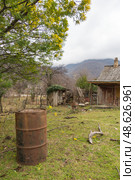 Rusty barrel, wooden shack, and old house against a mountain landscape with mimosa tree. Стоковое фото, фотограф Софья Соломонова / Фотобанк Лори
