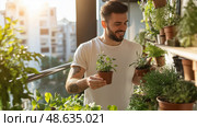 Man caring for herbs and plants indoors in a sunlit urban apartment gardening space. Стоковое AI-изображение, AI-художник Сергей Толмачёв / Фотобанк Лори