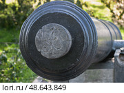 An antique cannon close-up. The muzzle of a smoothbore gun with a plug and the monogram A. Стоковое фото, фотограф Оксана Медведева / Фотобанк Лори