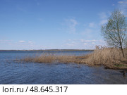 Вид на Плещеево озеро весенним днем (2019 год). Стоковое фото, фотограф Илюхина Наталья / Фотобанк Лори